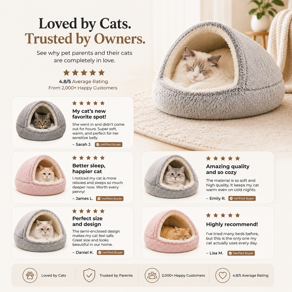 Semi-Enclosed Cat Bed