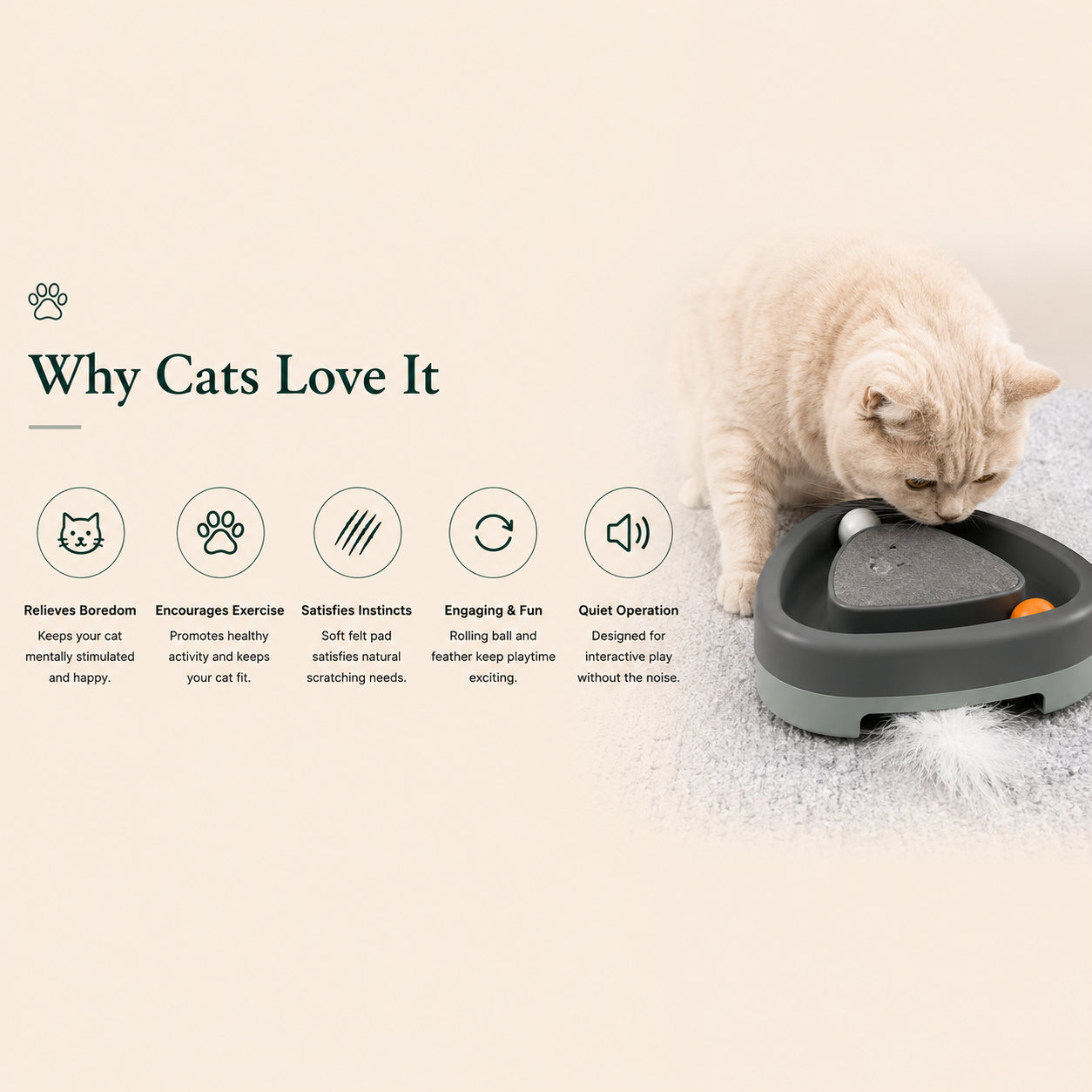 Interactive Cat Scratcher Toy