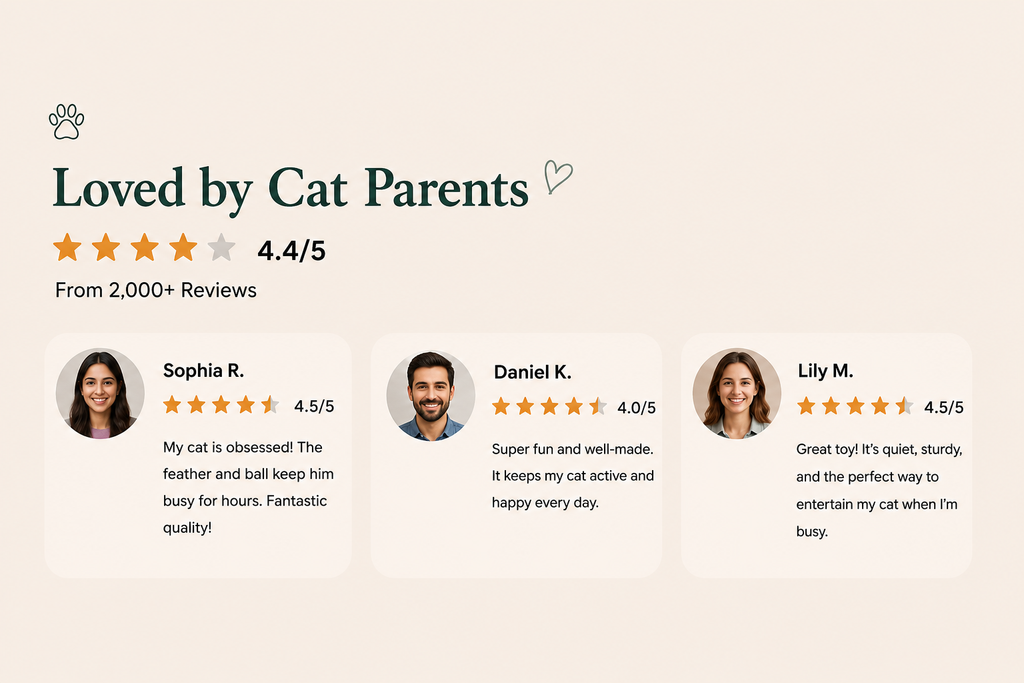 Interactive Cat Scratcher Toy