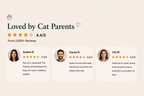 Interactive Cat Scratcher Toy