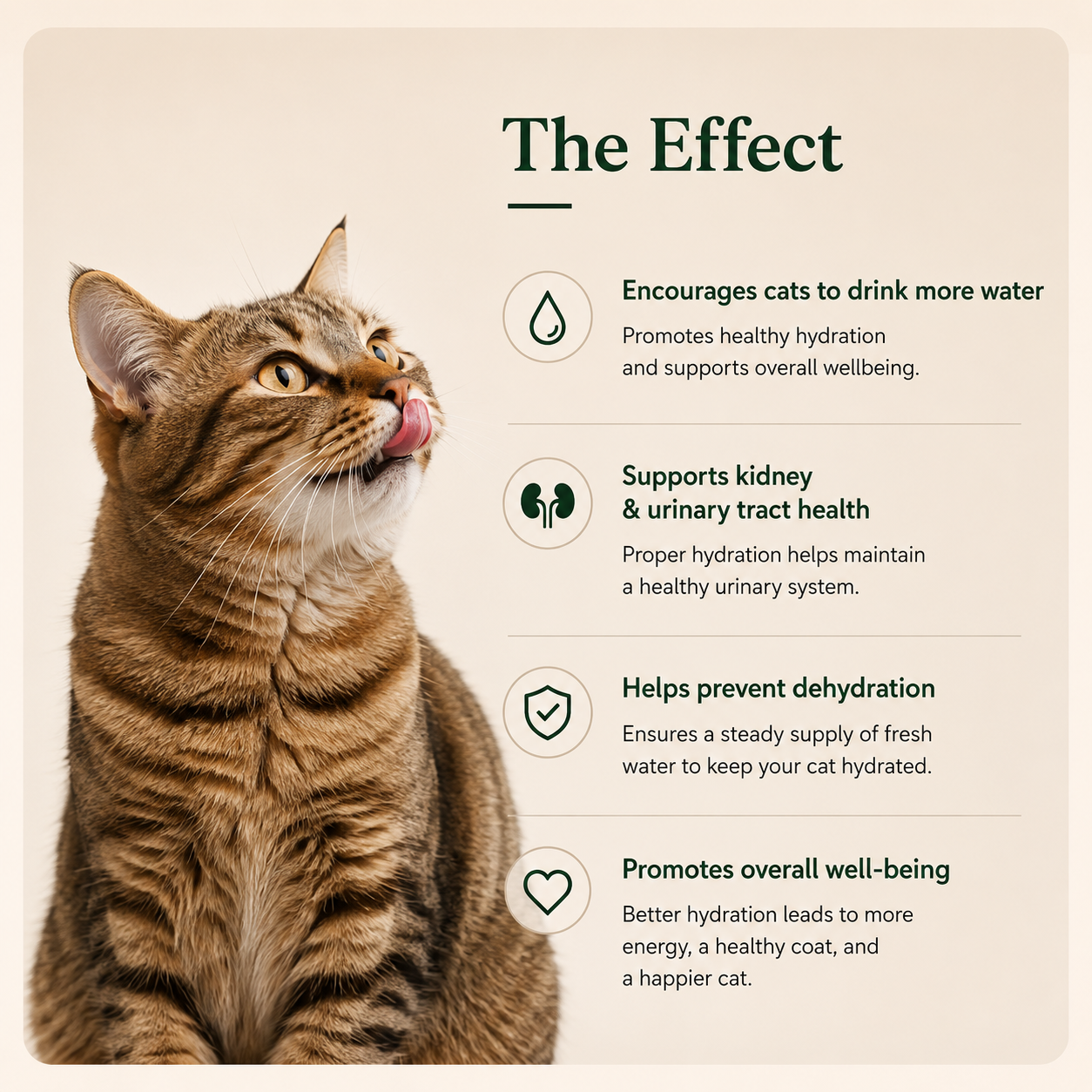 Cat Water Fountain Wireless Induction Drink Fountain