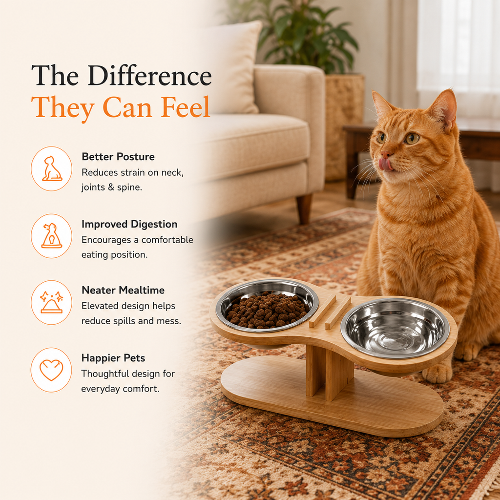 Adjustable Tilted Pet Bowl