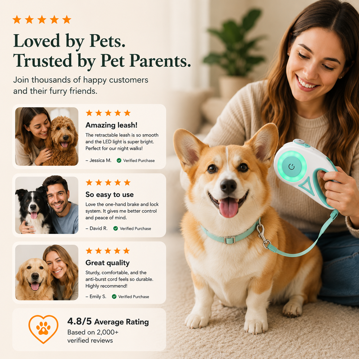 Retractable Dog Leash with LED Light