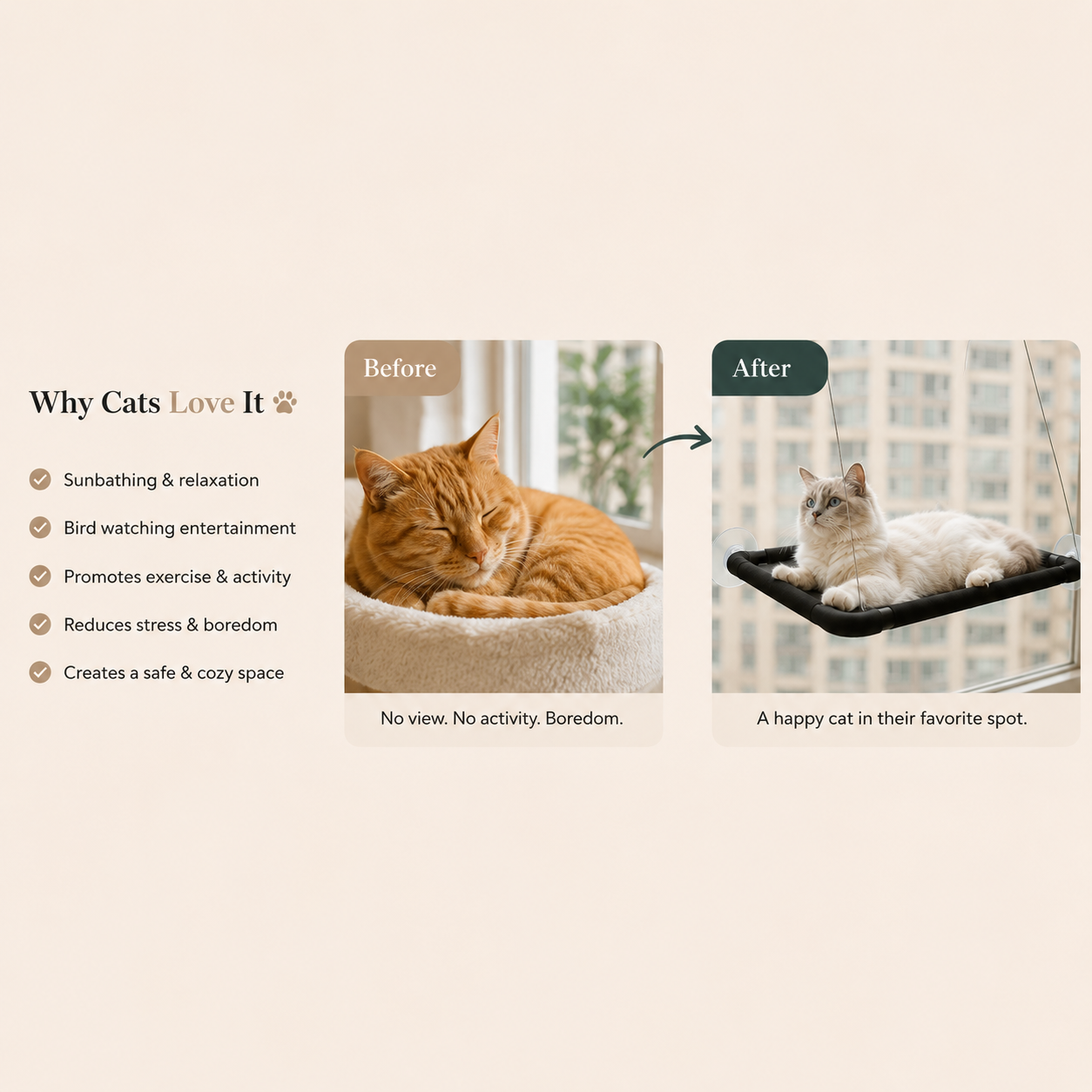 Cat Window Hammock with Suction Cups