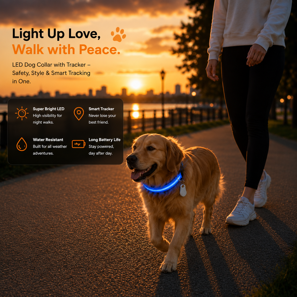LED Dog Safety Collar
