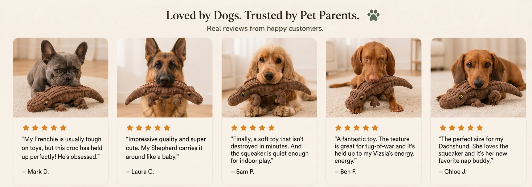 Plush Squeaky Dog Toy