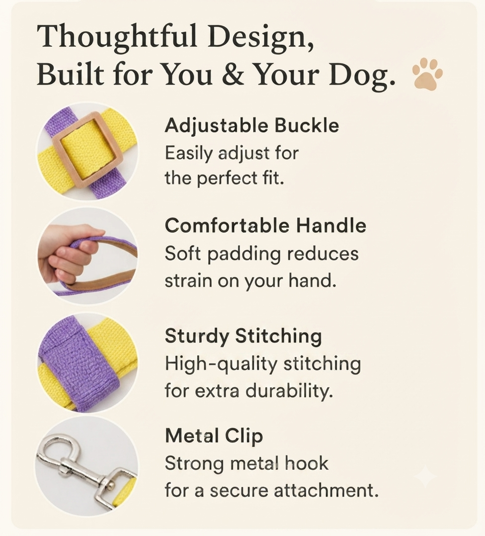 Rainbow Dog Harness & Leash Set