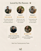 Dog Training Clicker