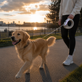 Luminous Ring Retractable Dog Leash - LED Glow