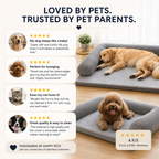 Corduroy Sofa Pet Bed