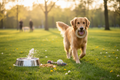 Premium Dog Wellness Kit